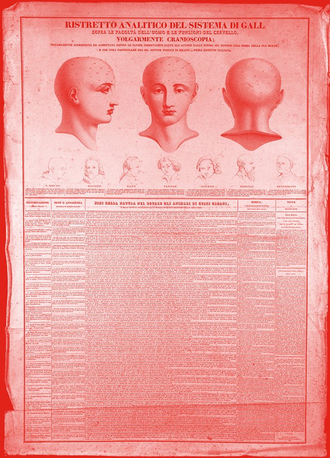 Phrenologische Tafel mit drei Ansichten eines Kopfes, 19. Jh., Wellcome Collection, London